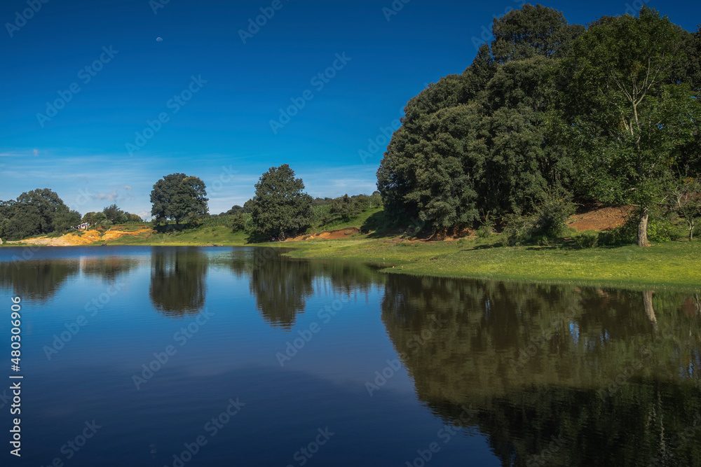 Fototapeta premium landscape with lake and trees (forest)
