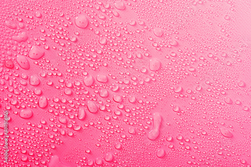 Water drops on pink background. Transparent water droplets from spray