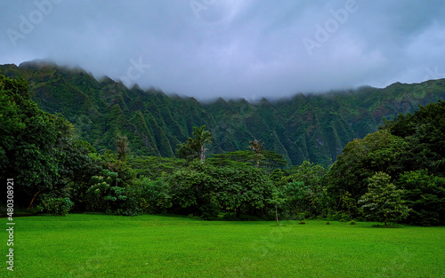 Green Lawn in Front of Ko'olau Range in Hawaii photo