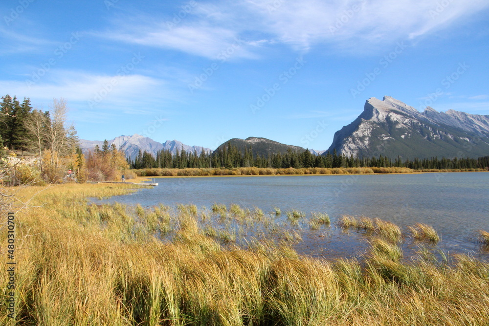 Grass Going Into The Water, Banff National Park, Alberta