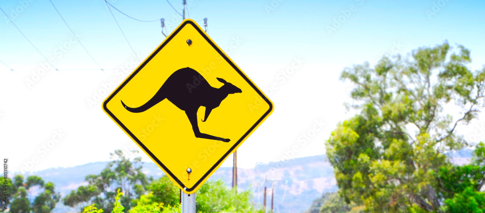 Kangaroo Crossing sign along Australian road. Sized to fit popular social media and web banner placeholder.