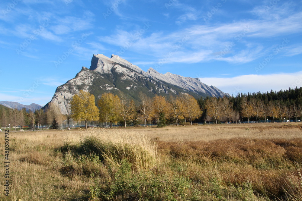 landscape in autumn, Banff National Park, Alberta