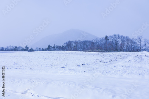 Bild auf Leinwand 雪原