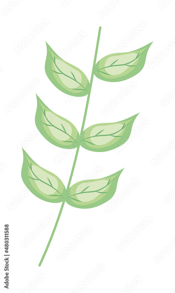 branch with leaves branch with leaves