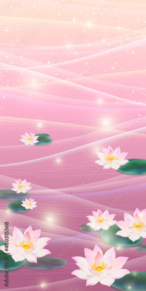 睡蓮 睡蓮