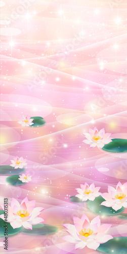 睡蓮
