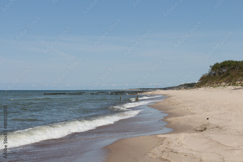 Curonian Spit in summer time, Kaliningrad Oblast, Russia.