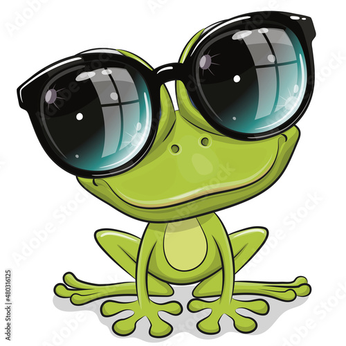 Frog in sun glasses isolated on a white background