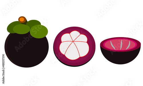 mangosteen or manggis is indonesian special fruit. made in flat editable illustration in isolated white background