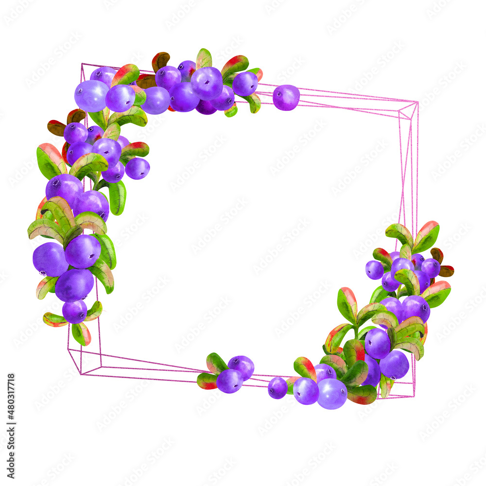 A geometric frame with ripe irgi berries on a white background is isolated. Graphic element. Watercolor illustration A geometric frame with ripe irgi berries on a white background is isolated. Graphic element. Watercolor illustration