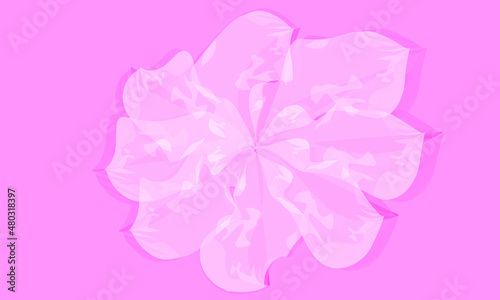 sweet pink flowers on pink background isolated