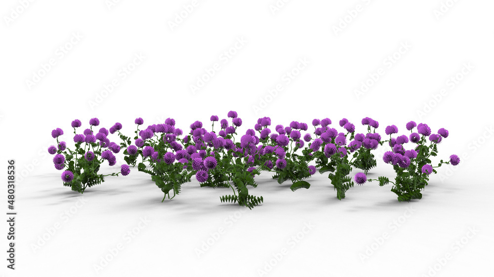 clover flower with shadow 3d render clover flower with shadow 3d render