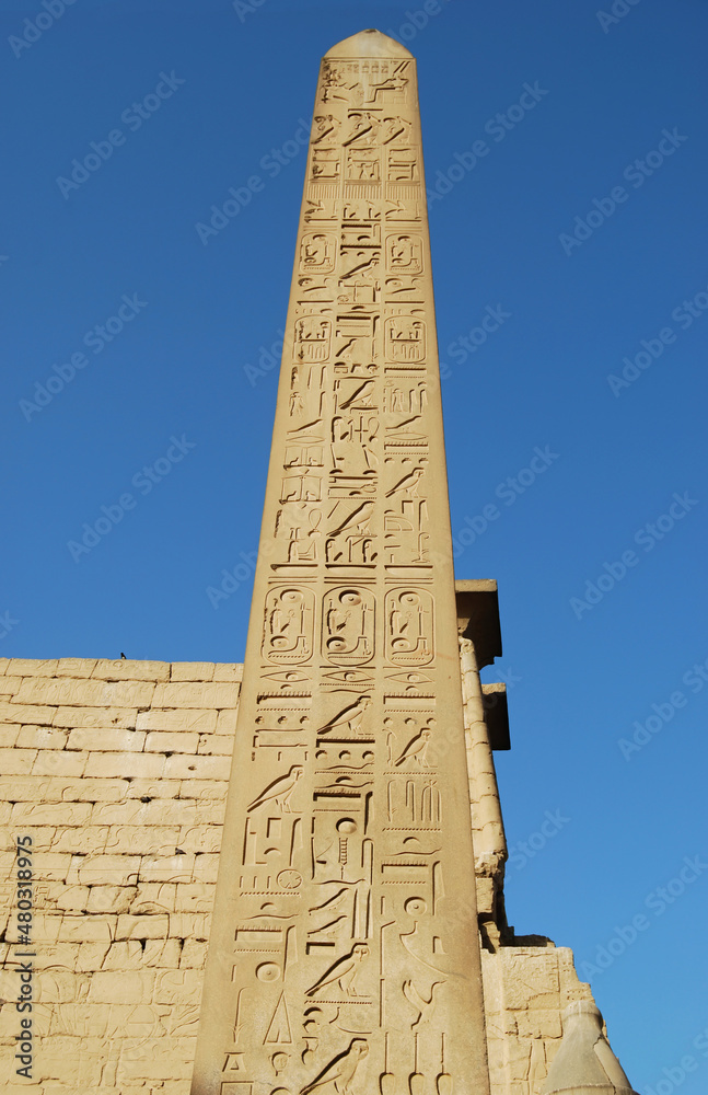 Obelisk at the entrance of the Temple of Luxor. Egypt
