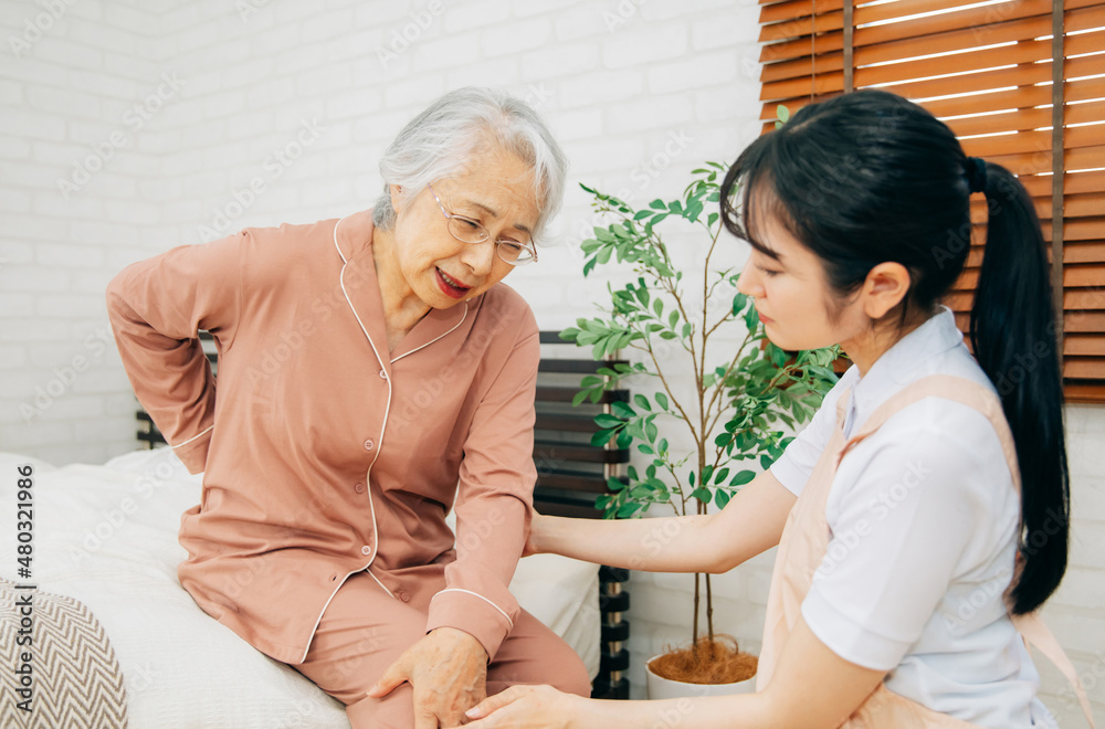 Fototapeta premium 痛がる高齢者女性と介護士（腰痛）