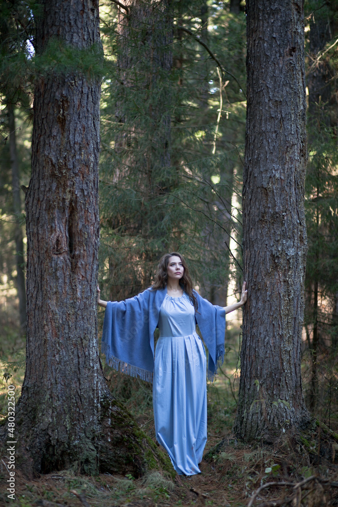 a girl is joking in a cedar forest, a story about a forest elf a girl is joking in a cedar forest, a story about a forest elf