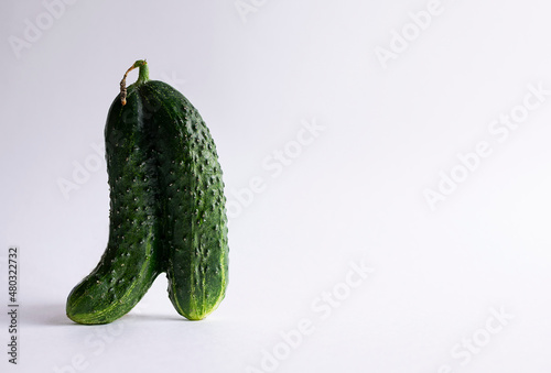 Ugly cucumber on a white background. Funny, unnormal vegetable or food waste concept. Image with copy space, horizontal orientation, side view. photo