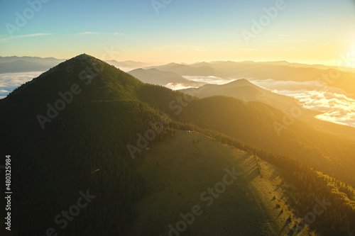 Aerial view of foggy evening over high peak with dark pine forest trees at bright sunset. Amazingl scenery of wild mountain woodland at dusk photo