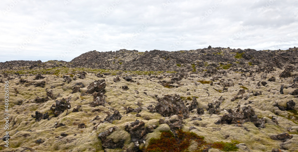 Old lava field covered with green moss