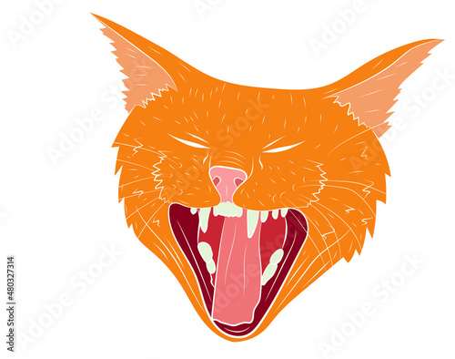 Realistic yawning cat portrait. Vector illustration.