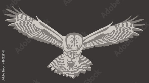 owl - a predatory flying bird with a pattern on the body in the form of a tattoo
