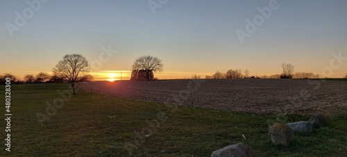sunset in the field