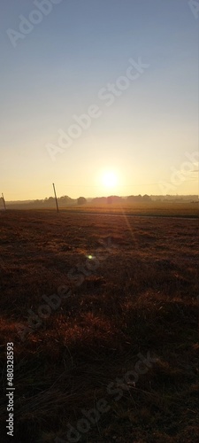wind turbines at sunset
