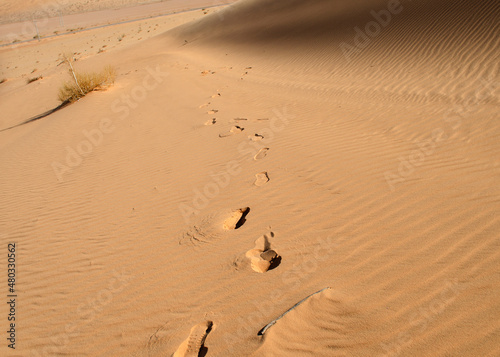 Footpronts on the desert