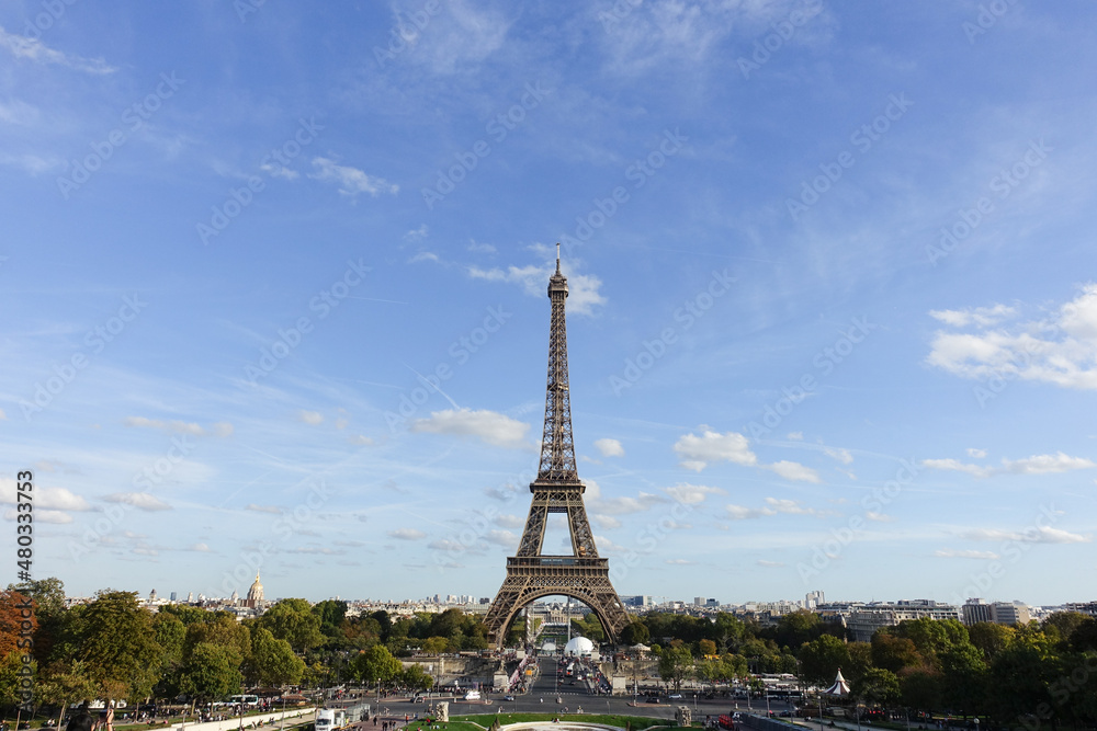 Fototapeta premium エッフェル塔の遠景