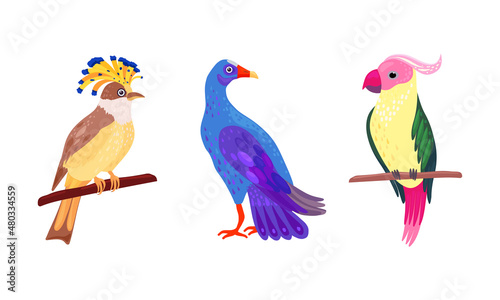 Tropical Bird with Bright Feathers Sitting on Tree Branch Vector Illustration Set