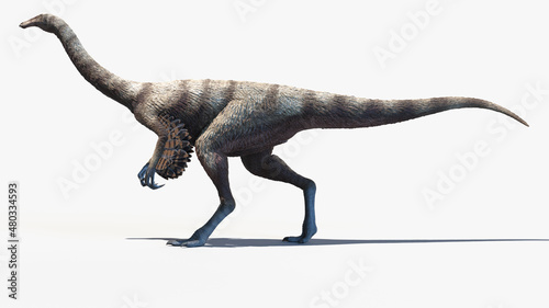 Fototapeta Naklejka Na Ścianę i Meble -  3d rendered illustration of an Ornithomimus