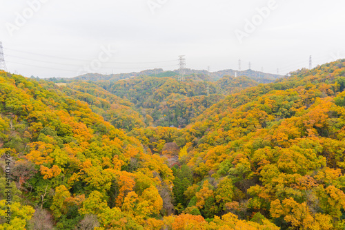 autumn in the mountains