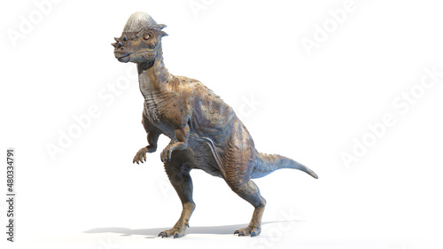 3d rendered illustration of a Pachycephalosaurus