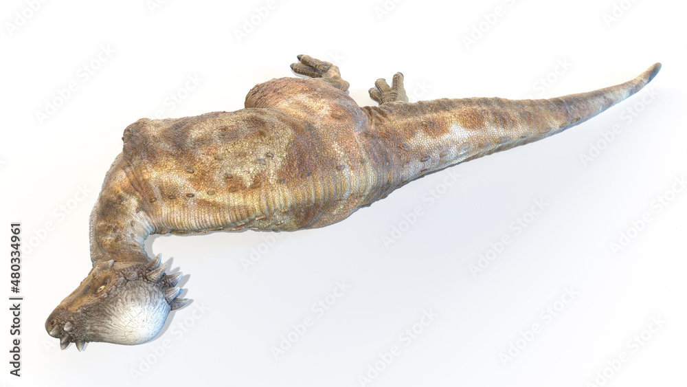 Obraz premium 3d rendered illustration of a Pachycephalosaurus