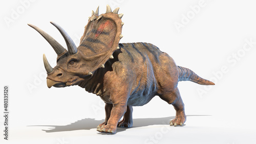 3d rendered illustration of a Pentaceratops photo