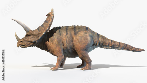 3d rendered illustration of a Pentaceratops © Sebastian Kaulitzki