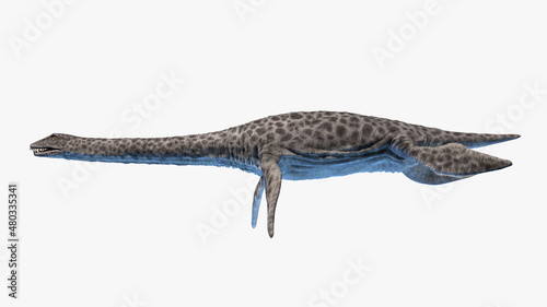 3d rendered illustration of a Plesiosaurus