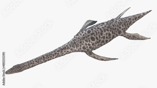 3d rendered illustration of a Plesiosaurus