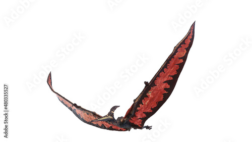 3d rendered illustration of a Pteranodon