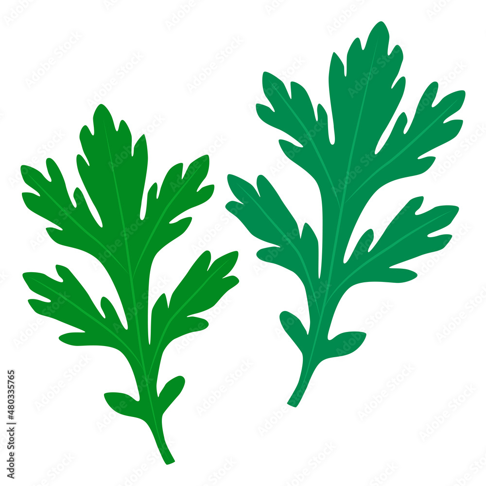 よもぎのイラスト Stock Vector Adobe Stock