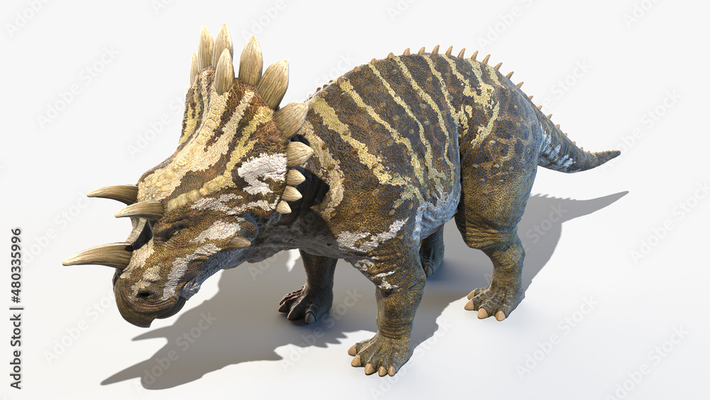 3d rendered illustration of a Regaliceratops 3d rendered illustration of a Regaliceratops