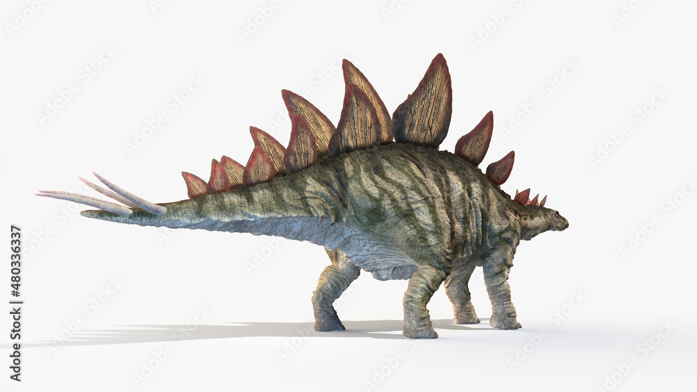 Fototapeta premium 3d rendered illustration of a Stegosaurus