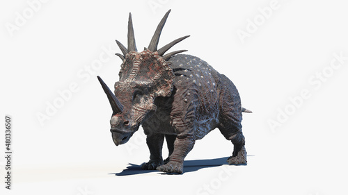 3d rendered illustration of a Styracosaurus photo