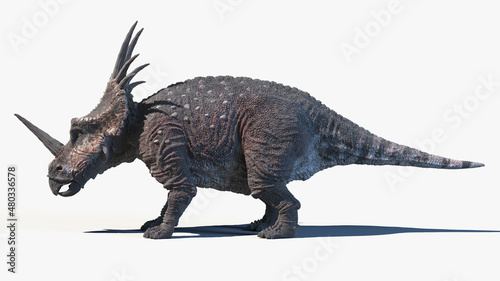 3d rendered illustration of a Styracosaurus © Sebastian Kaulitzki