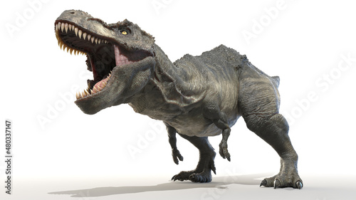 3d rendered illustration of a Tyrannosaurus Rex