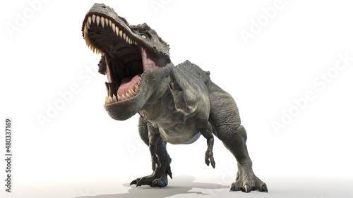 3d rendered illustration of a Tyrannosaurus Rex © Sebastian Kaulitzki