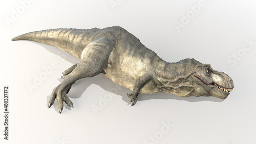 3d rendered illustration of a Tyrannosaurus Rex