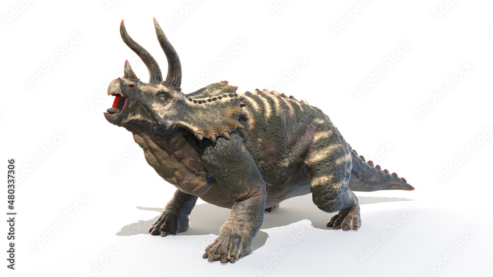 3d rendered illustration of Triceratops