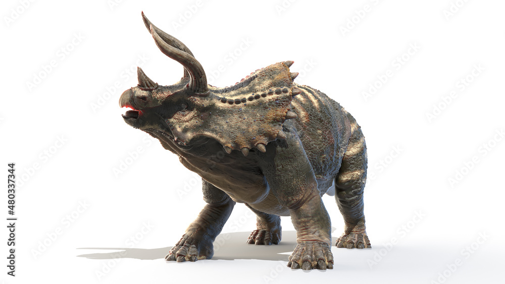 Fototapeta premium 3d rendered illustration of Triceratops