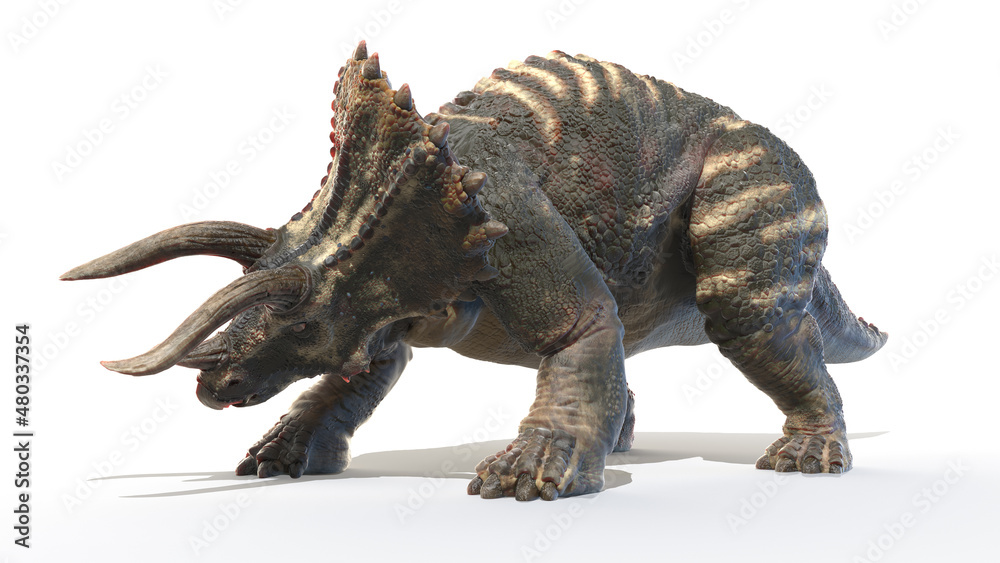 3d rendered illustration of Triceratops