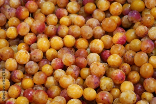 Étalage d’une multitude de mirabelles de Lorraine (prunes) en vrac sur l’étal d’un primeur d’un marché aux fruits à Nancy (France)